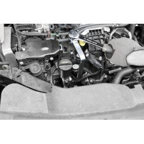 Schlüssel für Ausbau/Einbau der Kunststoffaufnahme von  Ölfiltern Ford Peugeot Citroën Motoren: TDCi-HDi - Beta 1493FF